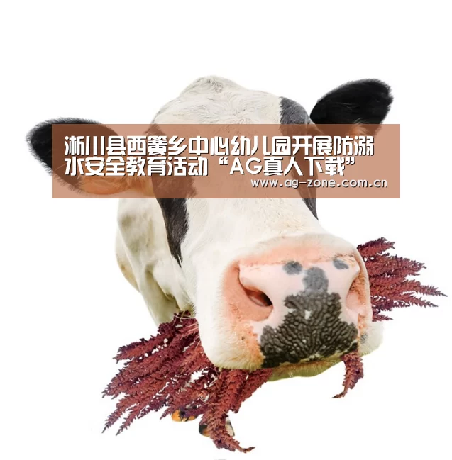 淅川县西簧乡中心幼儿园开展防溺水安全教育活动“AG真人下载”(图1) AG真人登录