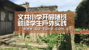 AG真人登录